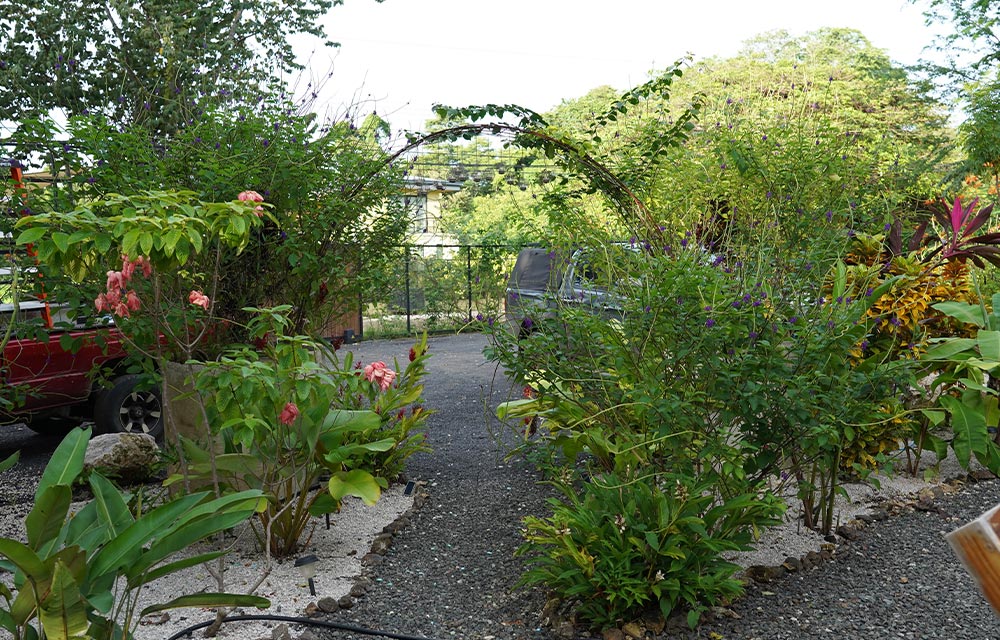 Relajarse-Landscape-Landscape-Design-Galery-CJ-Arq