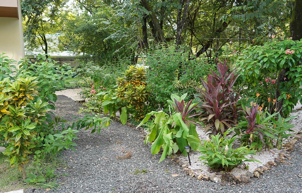 Relajarse-Landscape-Landscape-Design-Galery-CJ-Arq