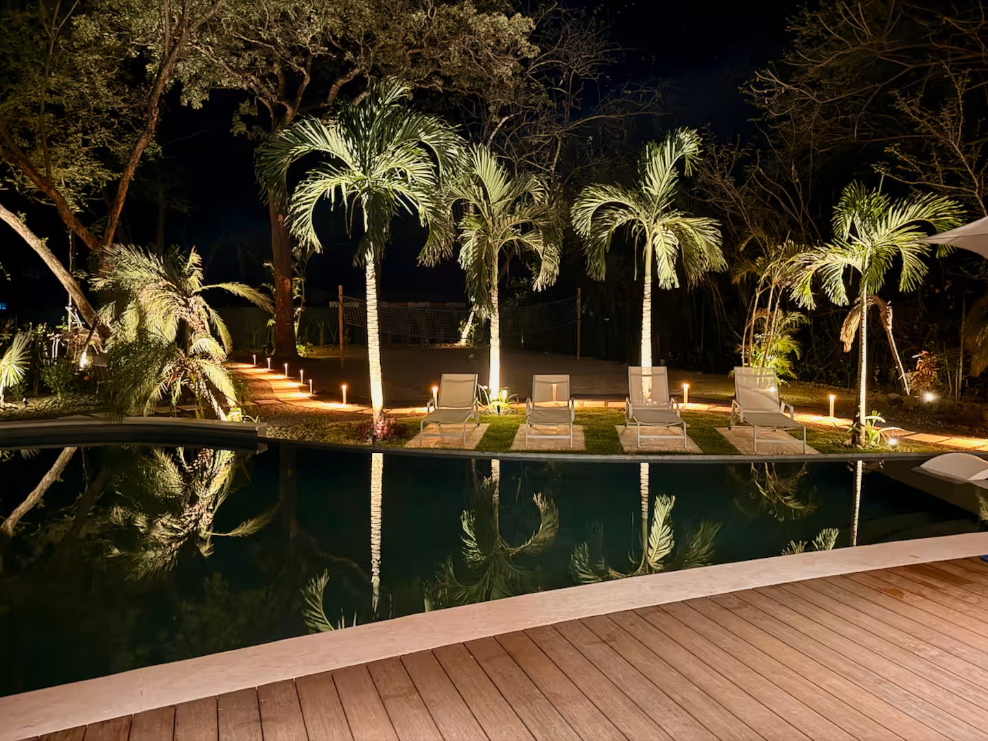 Villa Viva landscape at night, uplit palms and low bollards