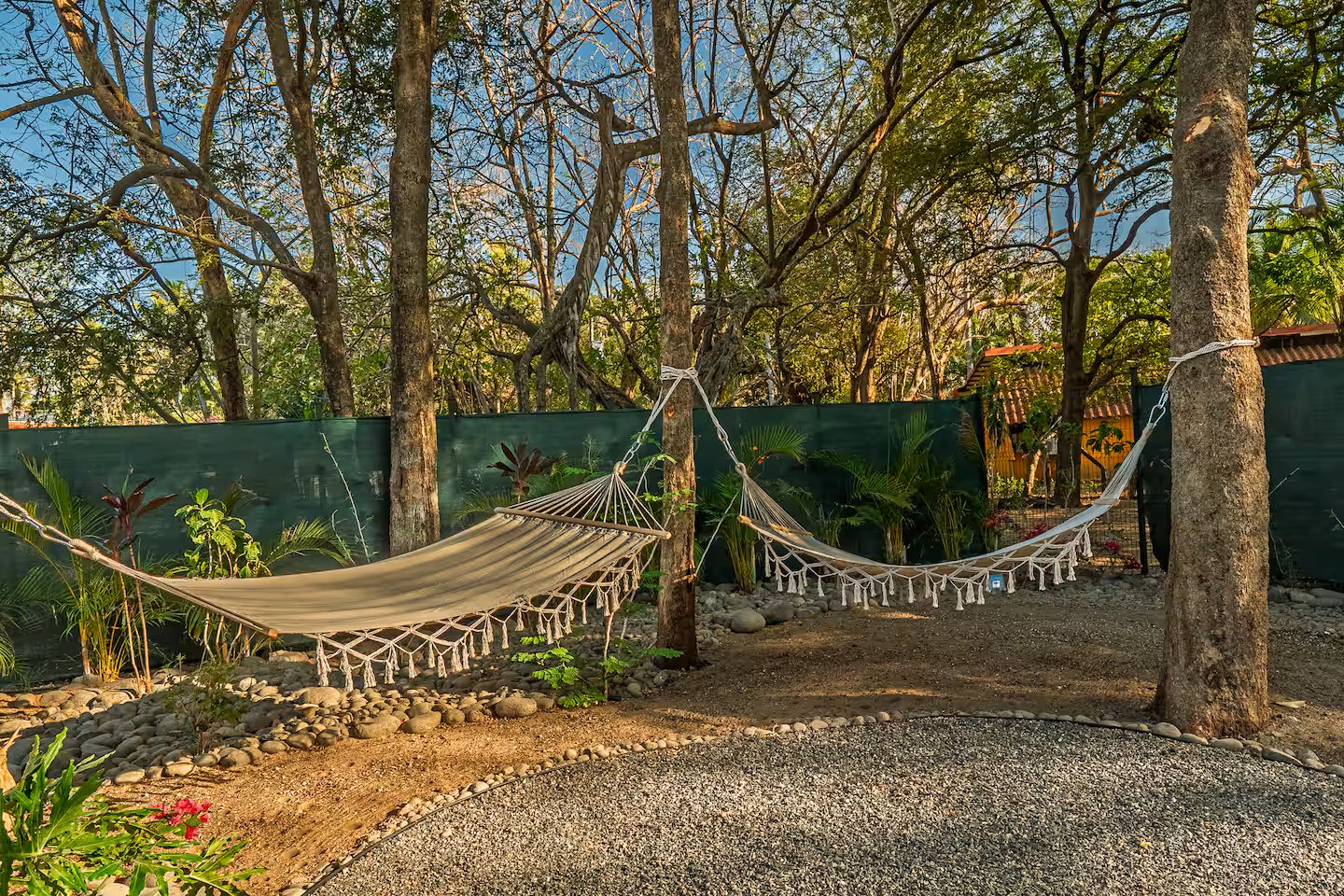 Hammocks between existing dry forest trees, Villa Viva landscape