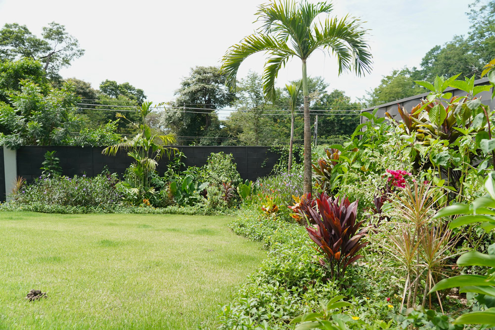 Casa Cielo, home and landscape in Tamarindo, Costa Rica, by CJarq