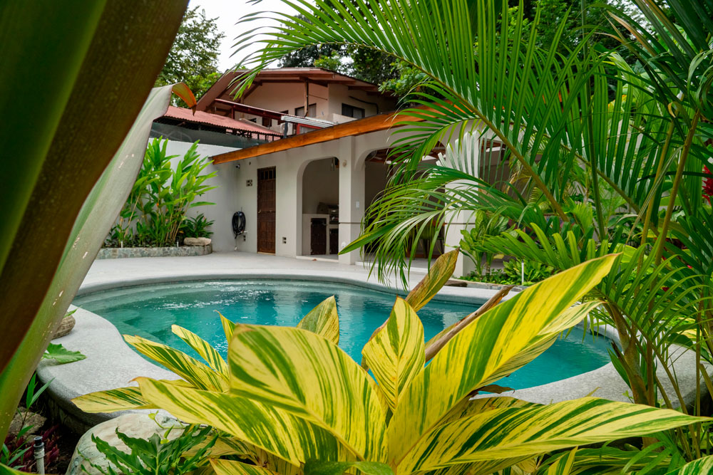 Casa de Las Olas, aerial view of the pool and gardens