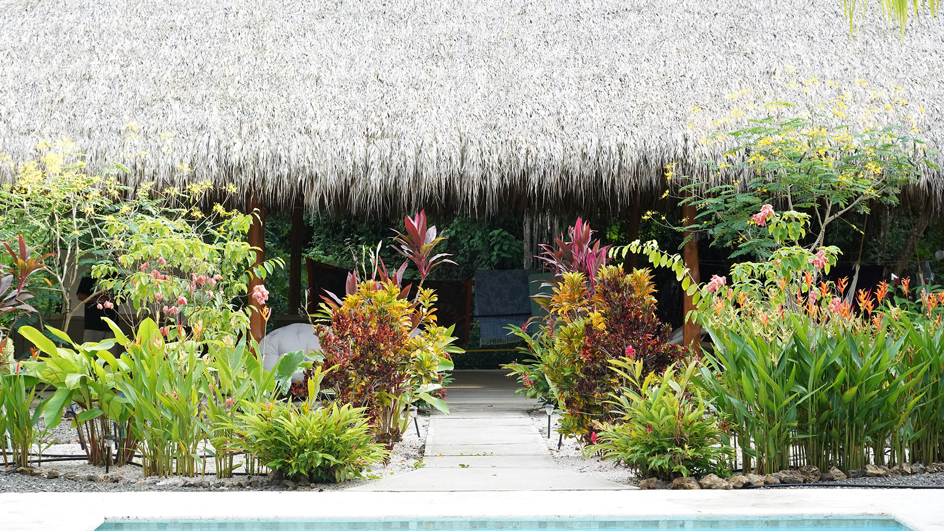Relajarse Landscape, landscape design for boutique lodging in Playa Grande, Costa Rica, by CJarq