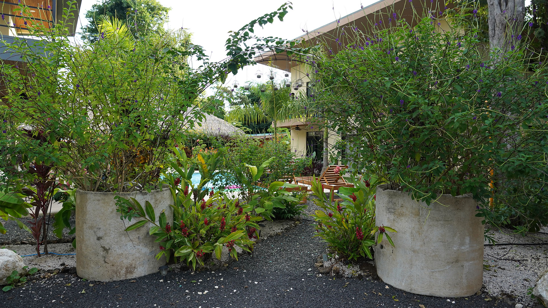 Relajarse Landscape, planting and paths in Playa Grande
