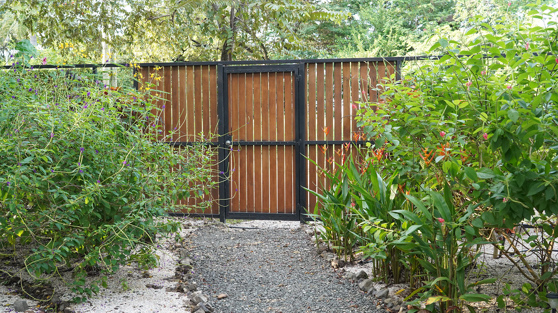 Relajarse Landscape, landscape design for boutique lodging in Playa Grande, Costa Rica, by CJarq