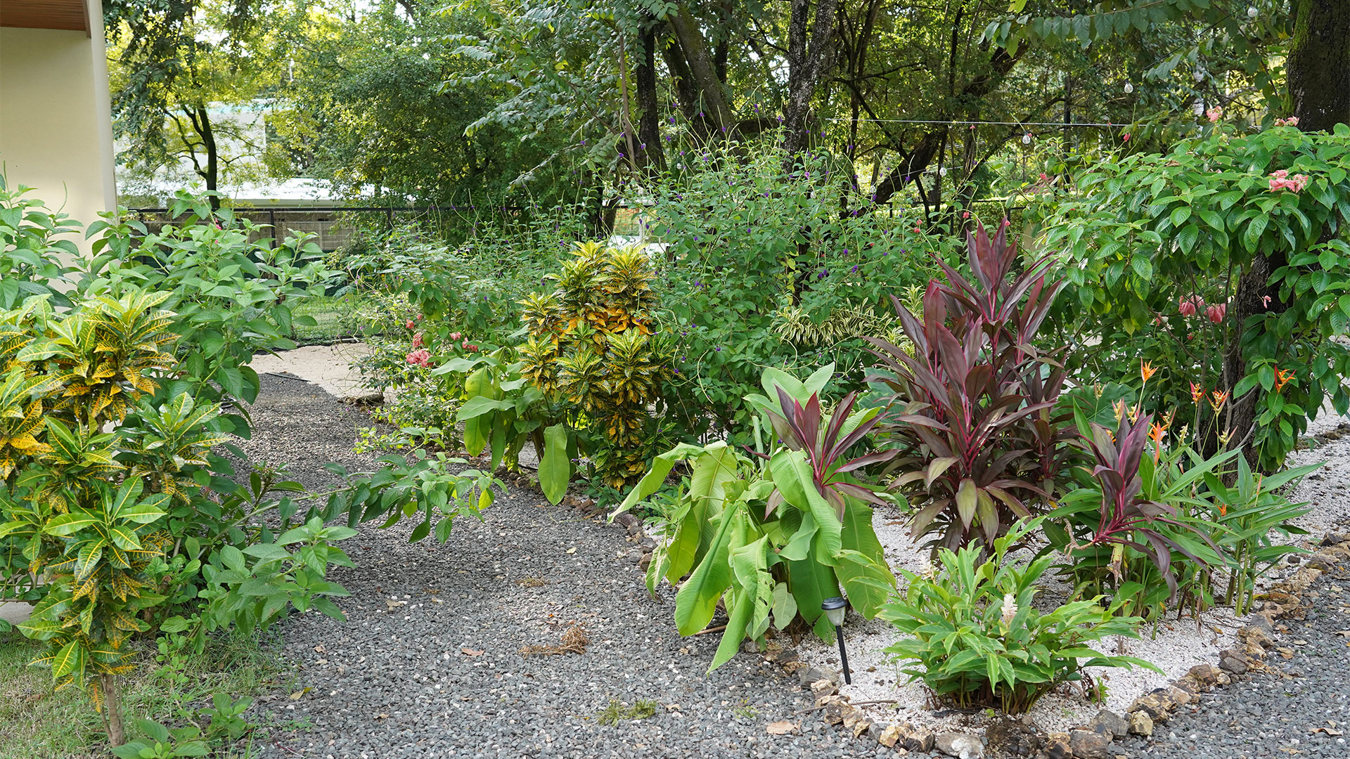 Relajarse Landscape, landscape design for boutique lodging in Playa Grande, Costa Rica, by CJarq