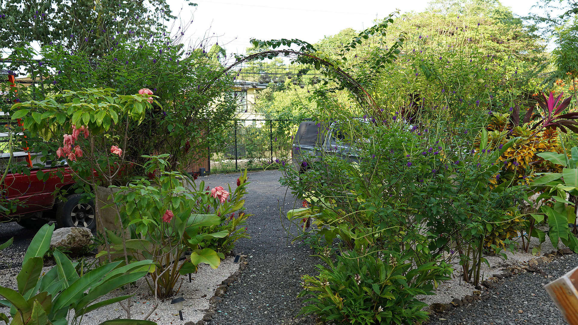 Relajarse Landscape, tropical planting in Playa Grande